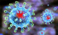Рекомендации по защите от коронавирусной инфекции